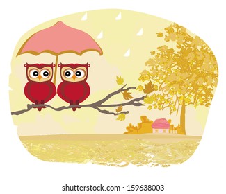 Owls couple under umbrella, autumn rainy day