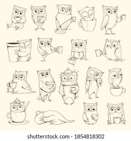 Owls with cup. Sleep concept birds characters sitting on coffee cups vector illustrations