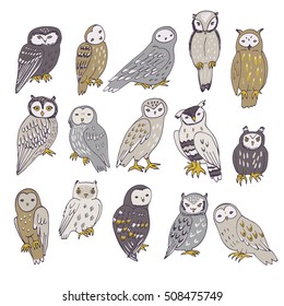 owls and flowers vector color set