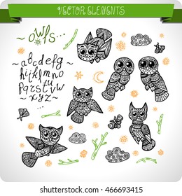 Owls and font. Elements for design. Vector.