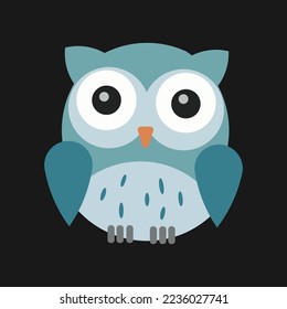 Owls are a group of birds that are members of the order Strigiformes. This bird belongs to the class of birds of prey (carnivores, meat eaters) and is a nocturnal animal. 