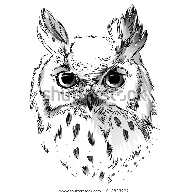 Owls Head Black White Drawing Stock Vector (Royalty Free) 1018853992