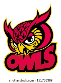 owls head mascot