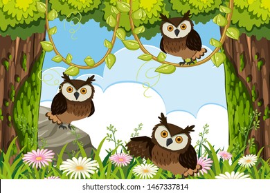 Owls in jungle scene illustration