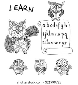 Owls learning