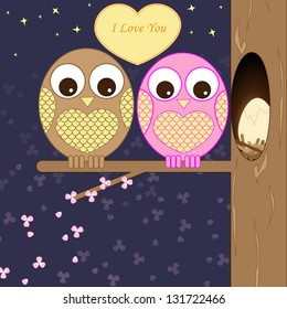 owls in love