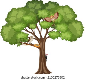 Owls with nest on the tree illustration