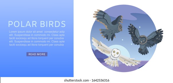 Owls, Night Sky With Flying Bird And Moon Over Landmark Vector Illustration Web Banner. Wildlife Birds Owls Ornitology Web Site Or Banner. Polar Owl And Night Person Website.