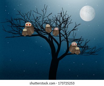 owls at night vector