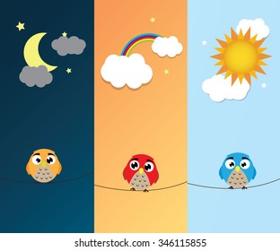 Owls nocturnal sky. Vector illustration