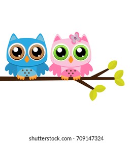 Owls on a branch