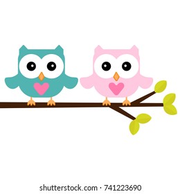owls on a branch