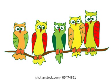 Owls on a branch vector