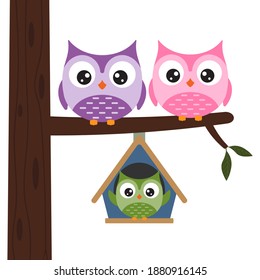 Сolorful owls on the tree