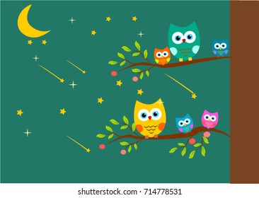 Owls on tree branch in the night