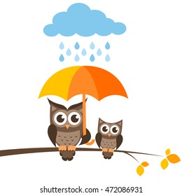 owls on the tree with umbrella