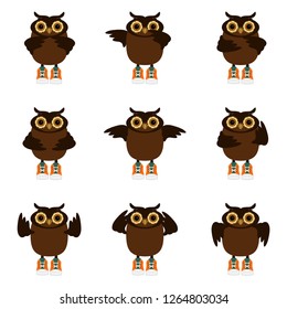 owls on white background set isolated 