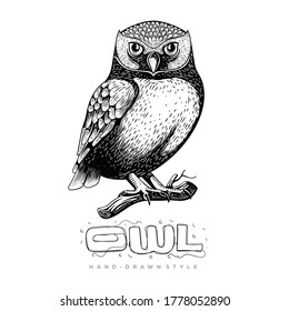 owls perch on tree trunks, hand drawn animal illustrations