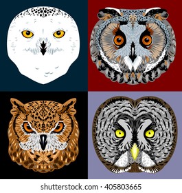 owls portraits set