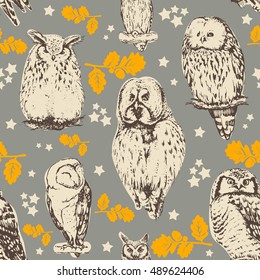 Owls seamless pattern. Vector background.
