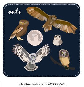 owls set collection. cute beautiful flying realistic. moon children book element. birds, nature, forest, wood, night.