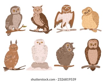 Owls set of different species of wild forest birds from ornithology book, flat vector illustration isolated on white background. Different owls and eagle-owls set.