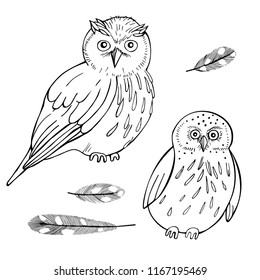 Owls  set. Vector  illustration. 