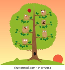 owls sitting in a tree, sunset