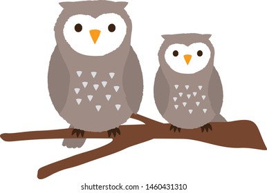 Owls  that are perching on trees vector illustration 