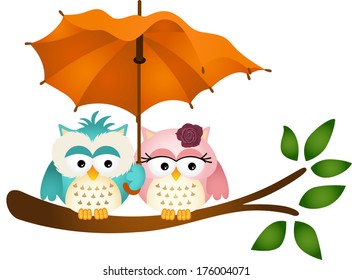 Owls under umbrella
