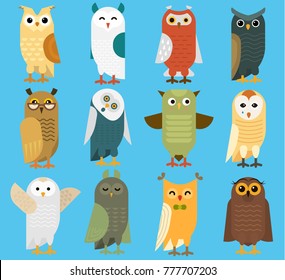 Owls vector cartoon cute bird set owlet character kids animal baby art for children owlish collection isolated on background