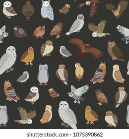 Owls vector hand drawn illustrations seamless pattern