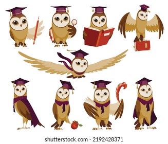 Owls wearing graduation caps. Cute wise owls with hats. Symbols of wisdom or graduation from higher or secondary educational institution