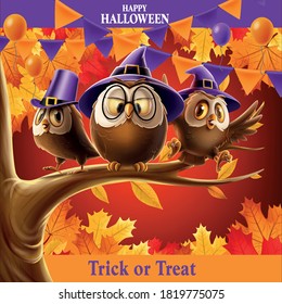 owls with wizard hat halloween party autumn