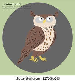 Owl.Vector Cartoon Flat Illustration