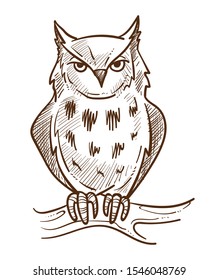 Own sitting on branch, forest bird or wild animal isolated sketch vector. Wildlife or zoo, wisdom symbol, biological species with feathers or plumage and wings. Night flying predator with beak