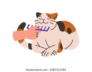 Owner cares about cute cat. Person brushes happy kitty with comb. Character grooming fluffy kitten. Animal purr, love of pussycat body language. Flat isolated vector illustration on white background