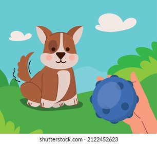 owner playing with his dog with a ball