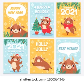 Ox 2021. Happy chinese new year greeting cards, bull with horns prosperity zodiac sign with asian elements eastern horoscope vector set. Cute bull with Santa hat, scarf and evergreen tree