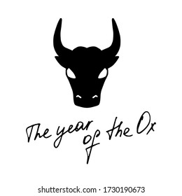 Ox, bull, cow on white background. Lunar horoscope sign. Chinese new year 2021.