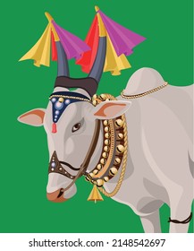 Ox is decorated with various stuff  for festivals in India