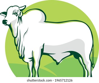 ox in green and blue pasture