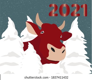 Ilustración ox con árboles y texto de 2021. Diseño chino de Año Nuevo.  Ilustración vectorial festiva de un signo de zodiaco rojo decorativo en un fondo azul