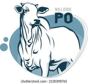 Ox Po On Blue Background