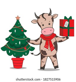 Ox Zodiac Sign of 2021. Vector Cartoon Cute Calf Character. Happy Chinese New Year Holiday with Funny Doodle Bull in scarf, with gift box and christmas tree, decoration. Greeting card template.