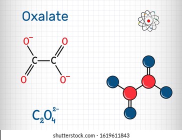 Oxalate anion, ethanedioate molecule.  Structural chemical formula and molecule model. Sheet of paper in a cage. Vector illustration