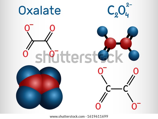 シュウ酸アニオン エタンジオエート分子 構造化学式と分子モデル ベクターイラスト のベクター画像素材 ロイヤリティフリー