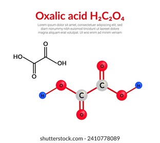Oxalic acid molecular structure formula (H2C2O4), ball-and-stick model, suitable for education or chemistry science content. Vector illustration