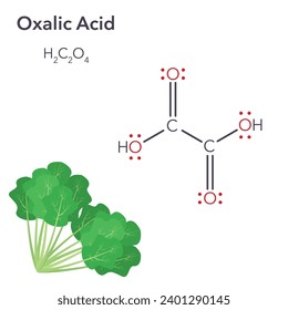 Gráfico vectorial de la ciencia ácida oxálica