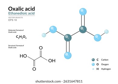 Oxalic Acid. Structural Chemical Formula and 3d Model of Molecule. C2H2O4. Atoms with Color Coding. Vector graphic Illustration for educational materials, scientific articles, and presentations